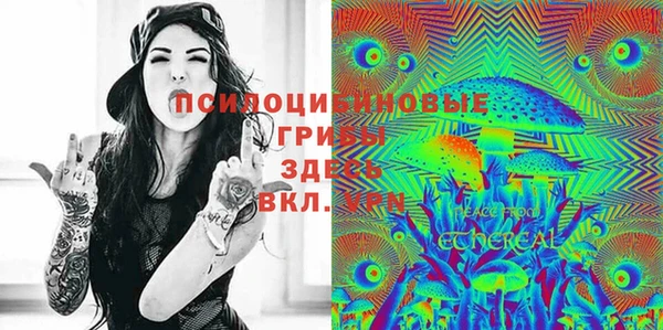 a pvp Алзамай