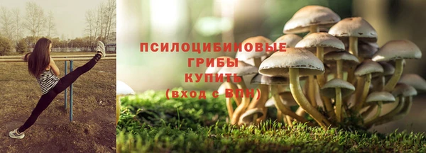 a pvp Алзамай
