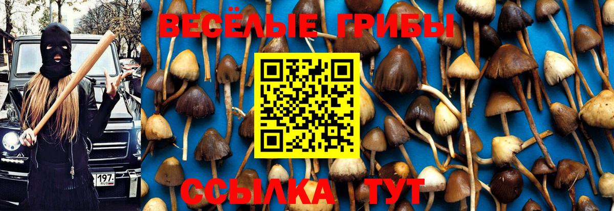 Псилоцибиновые грибы мухоморы  Псилоцибиновые грибы Psilocybine cubensis  Вход с VPN  Ставрополь 